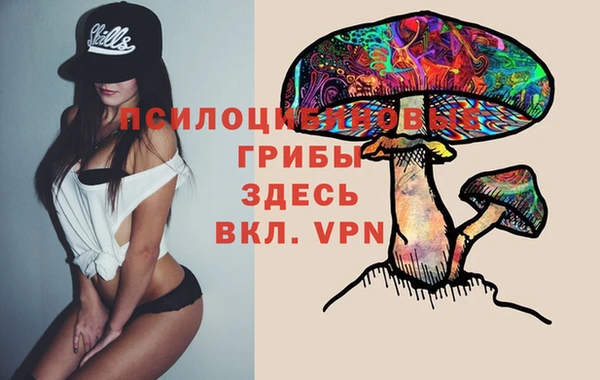 ALPHA-PVP Горняк