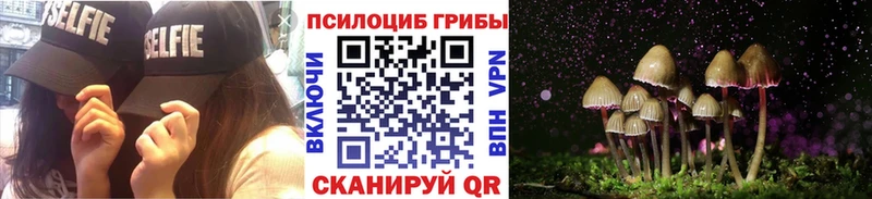 купить закладку  Набережные Челны  гидра   Галлюциногенные грибы Cubensis 